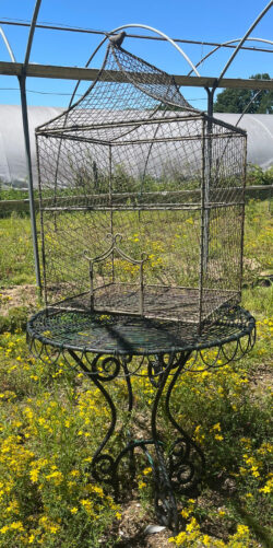 Wire birdcage with a decorative bird on the top Wire birdcage with a decorative bird on the top