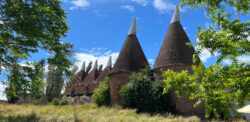Wide test image Wide test image