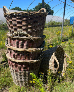 Traditional woven baskets Traditional woven baskets